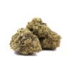 Gelato