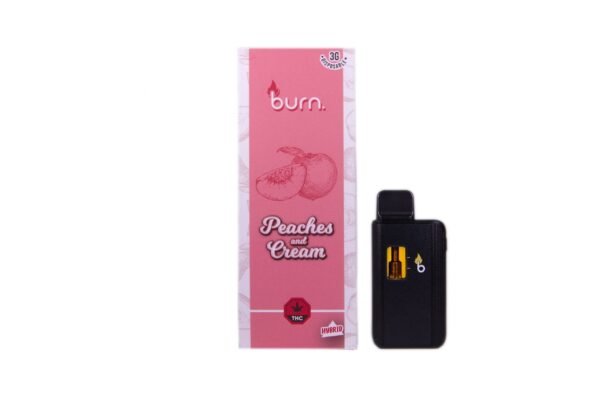 Burn 3mL Disposable Vapes – Peaches and Cream THC Distillate