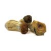 Trinity Mushrooms