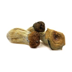 Trinity Mushrooms