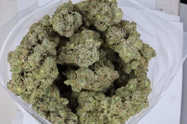 California Dream - Image 2