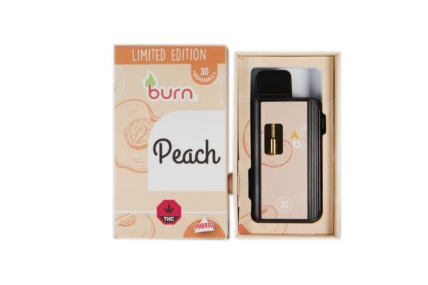Burn 3mL Disposable Vapes – Peach THC Distillate
