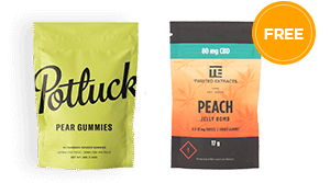 The Starter Bundle